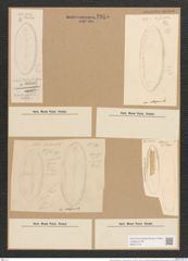Nitzschia tryblionella var. obtusiuscula Grun. (de-Toni-Nr.: Genus 47, Species 2005) Zeichnungen Sammlung Grunow Nr. 3955 (NHMW-BOT-W0371716)